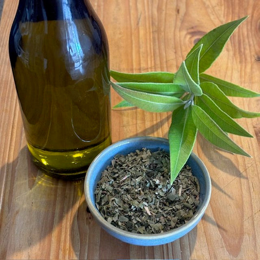 Zesty Lemon Myrtle Olive Oil Infusion