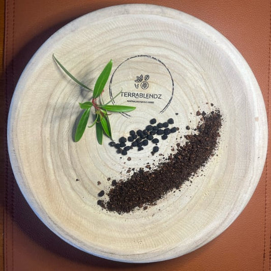 Tasmanian Pepperberry (Tasmannia Lanceolata)