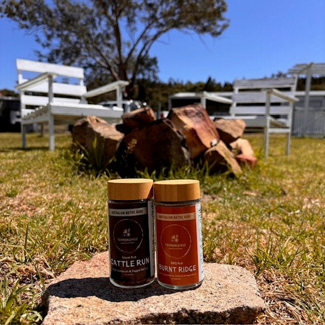 Terrablendz Cattle Run steak rub and Burnt Ridge BBQ Rub in front of a firepit on a rock in a rural setting