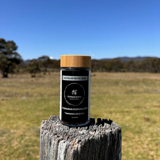 Dried Tasmanian Pepperberry (Tasmannia Lanceolata)