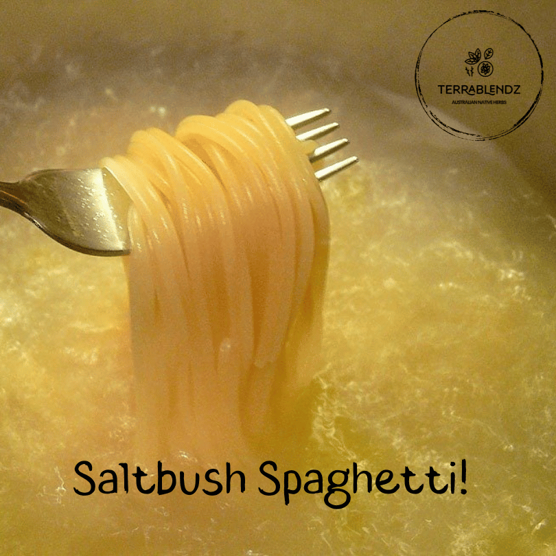 Terrablendz Saltbush Spaghetti in a pot of boiling water.