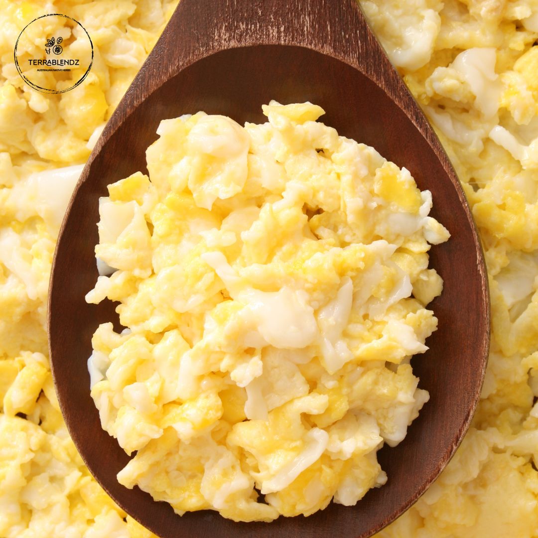 Paleo Diet Ideas : Terrablendz Scrambled Eggs