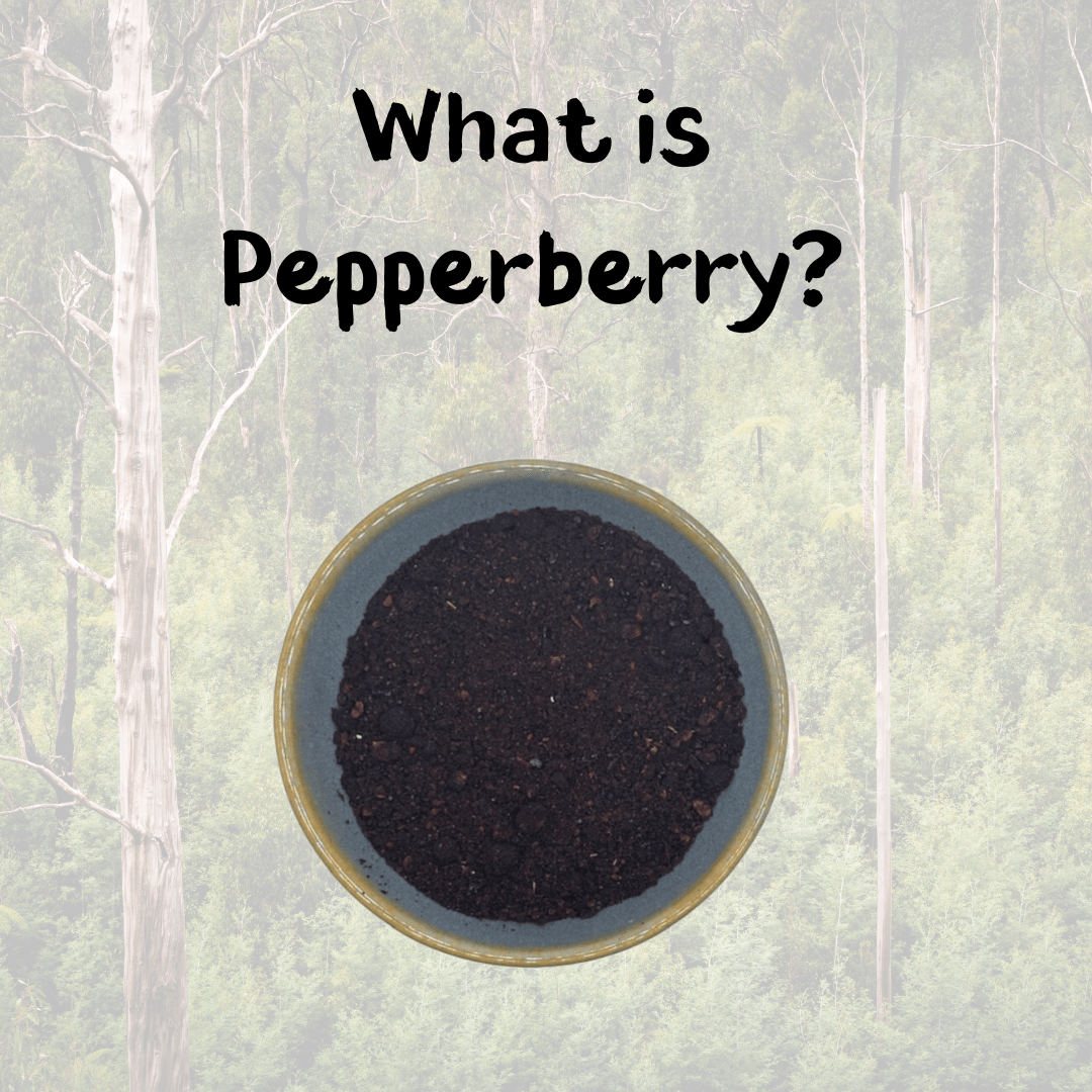 Bowl of Tasmanian Pepperberry over a forest background, with the words What is Pepperberry?