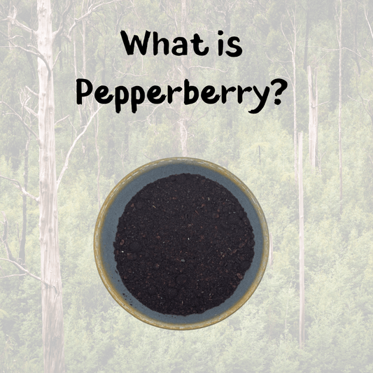 Bowl of Tasmanian Pepperberry over a forest background, with the words What is Pepperberry?