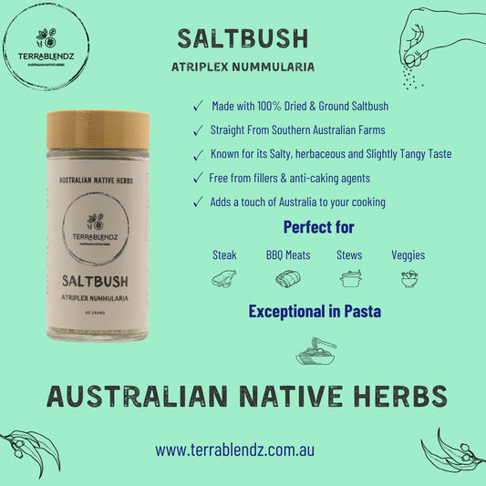 Terrablendz Saltbush Atriplex Nummularia Informational Flyer.