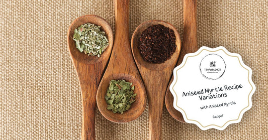 Aniseed myrtle dried leaves and spice jar – Australian native BBQ rub and seasoning ingredient
