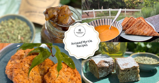 Collection of Aniseed Myrtle recipes including jams, biscuits, brisket and soup with native Australian herbs.