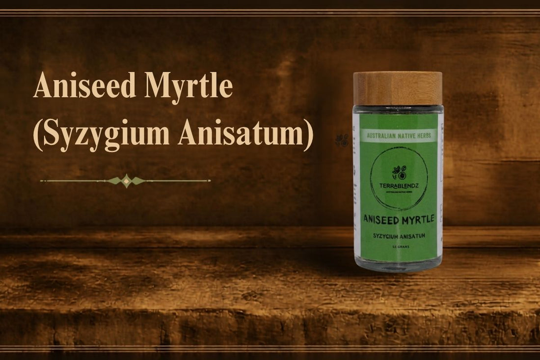 Aniseed myrtle (Syzygium anisatum) on a rustic bench — premium Australian native herb sourced by Terrablendz