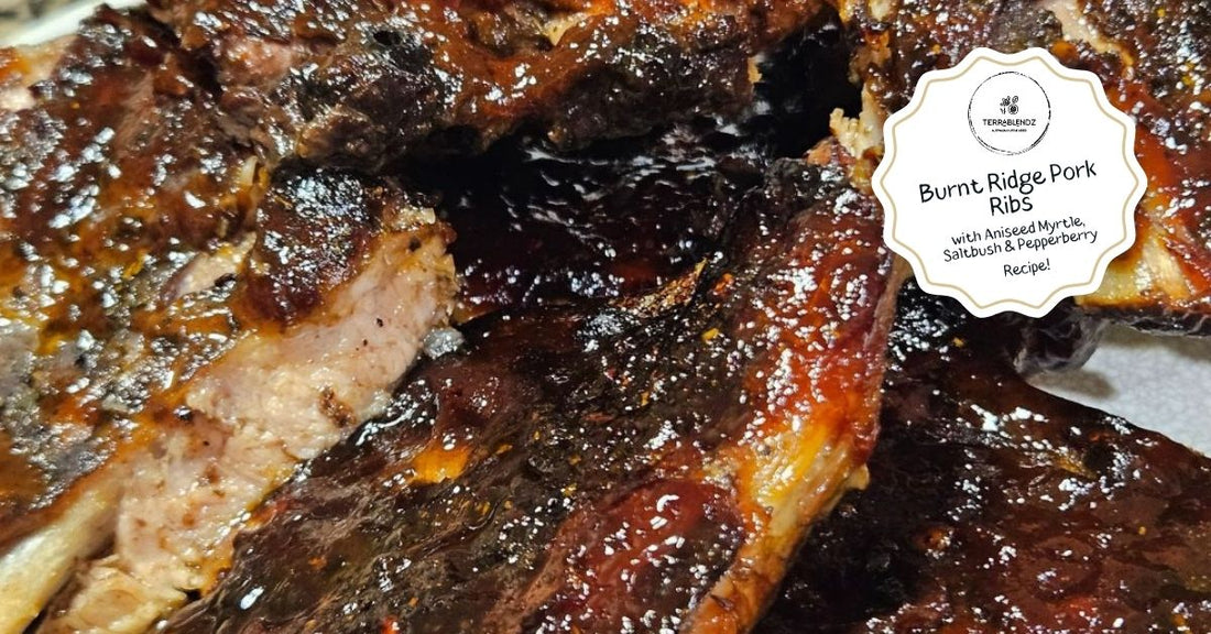 Slow-cooked Australian pork ribs seasoned with Terrablendz Burnt Ridge BBQ Rub featuring Aniseed Myrtle, Saltbush and Tasmanian Pepperberry