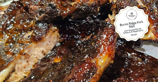 Slow-cooked Australian pork ribs seasoned with Terrablendz Burnt Ridge BBQ Rub featuring Aniseed Myrtle, Saltbush and Tasmanian Pepperberry