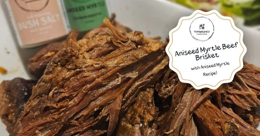 Aniseed Myrtle Beef Brisket using Terrablendz Aniseed Myrtle