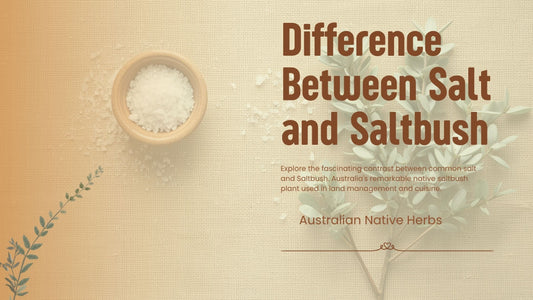 Difference between salt and saltbush — Australian native seasoning guide by Terrablendz