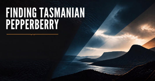 Finding Tasmanian Pepperberry — dried native Australian spice for BBQ rubs and seasoning blends