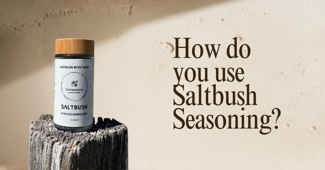 How do you use saltbush seasoning — dried saltbush leaves and seasoning blend from Terrablendz Australia