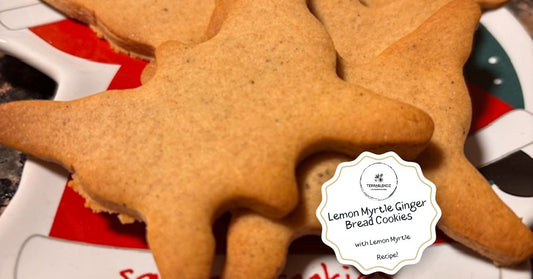 Lemon Myrtle Gingerbread Cookies on a Christmas plate – Terrablendz Australian native herb recipe