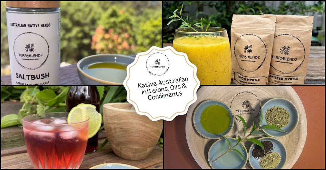 Native Australian infusions, oils and condiments — saltbush, lemon myrtle, Tasmanian pepperberry and aniseed myrtle by Terrablendz