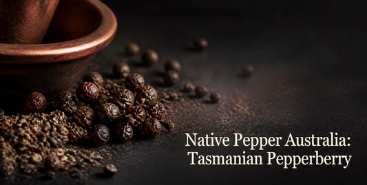 Native Pepper Australia Tasmanian Pepperberry Tasmannia lanceolata native Australian BBQ spice and seasoning