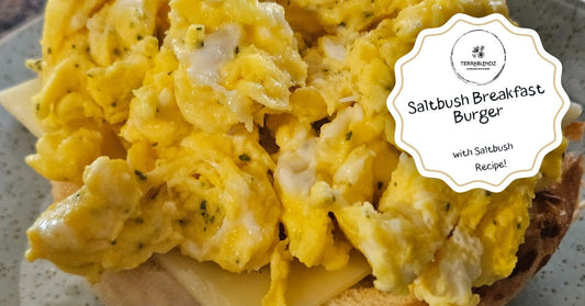 Saltbush Scrambled egg & cheese breakfast burger using dried and ground Saltbush