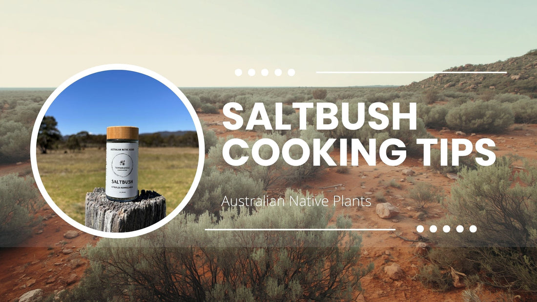 Terrablendz saltbush cooking tips — dried Old Man Saltbush Atriplex nummularia for BBQ rubs, marinades and Australian native herb seasoning