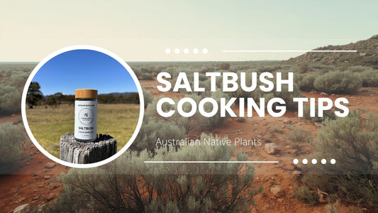 Terrablendz saltbush cooking tips — dried Old Man Saltbush Atriplex nummularia for BBQ rubs, marinades and Australian native herb seasoning