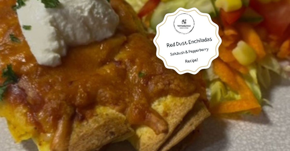 Saltbush and Pepperberry Enchiladas made with Terrablendz Red Dust Mild Taco Seasoning – Australian native herb seasoning recipe