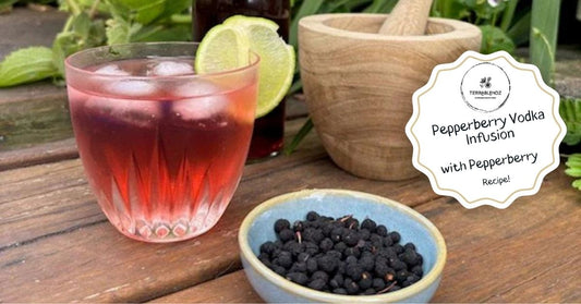 Tasmanian Pepperberry Vodka Infusion with dried Tasmannia lanceolata berries — Terrablendz