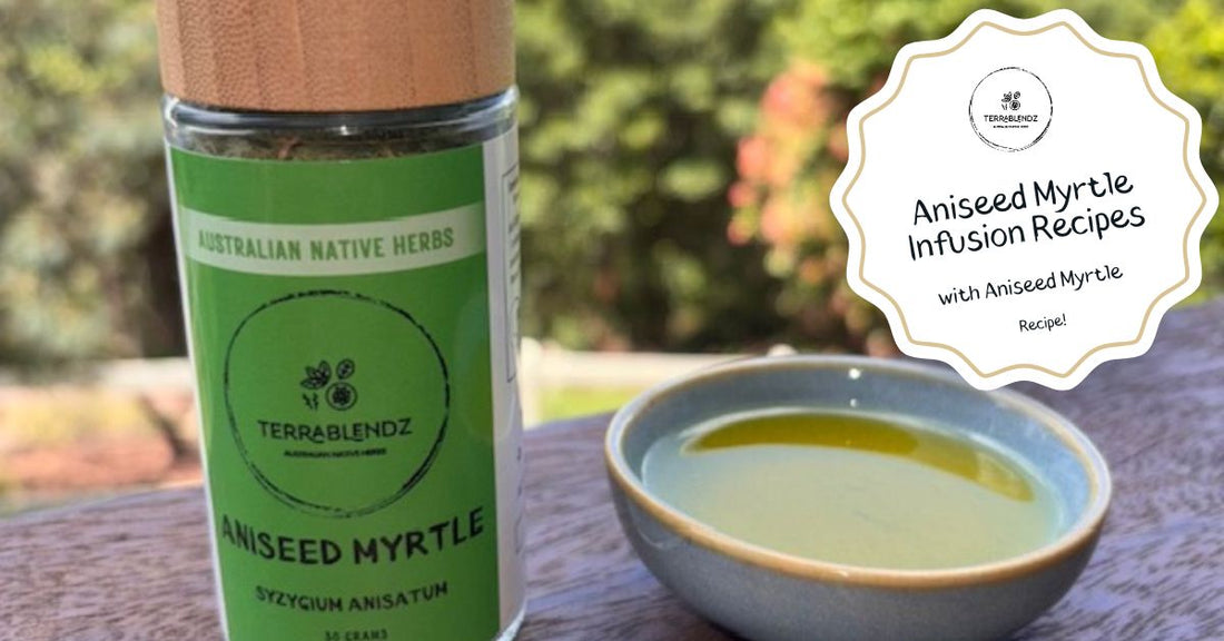 Aniseed Myrtle Infusion Recipes, dried and ground Terrablendz Aniseed Myrtle and olive oil