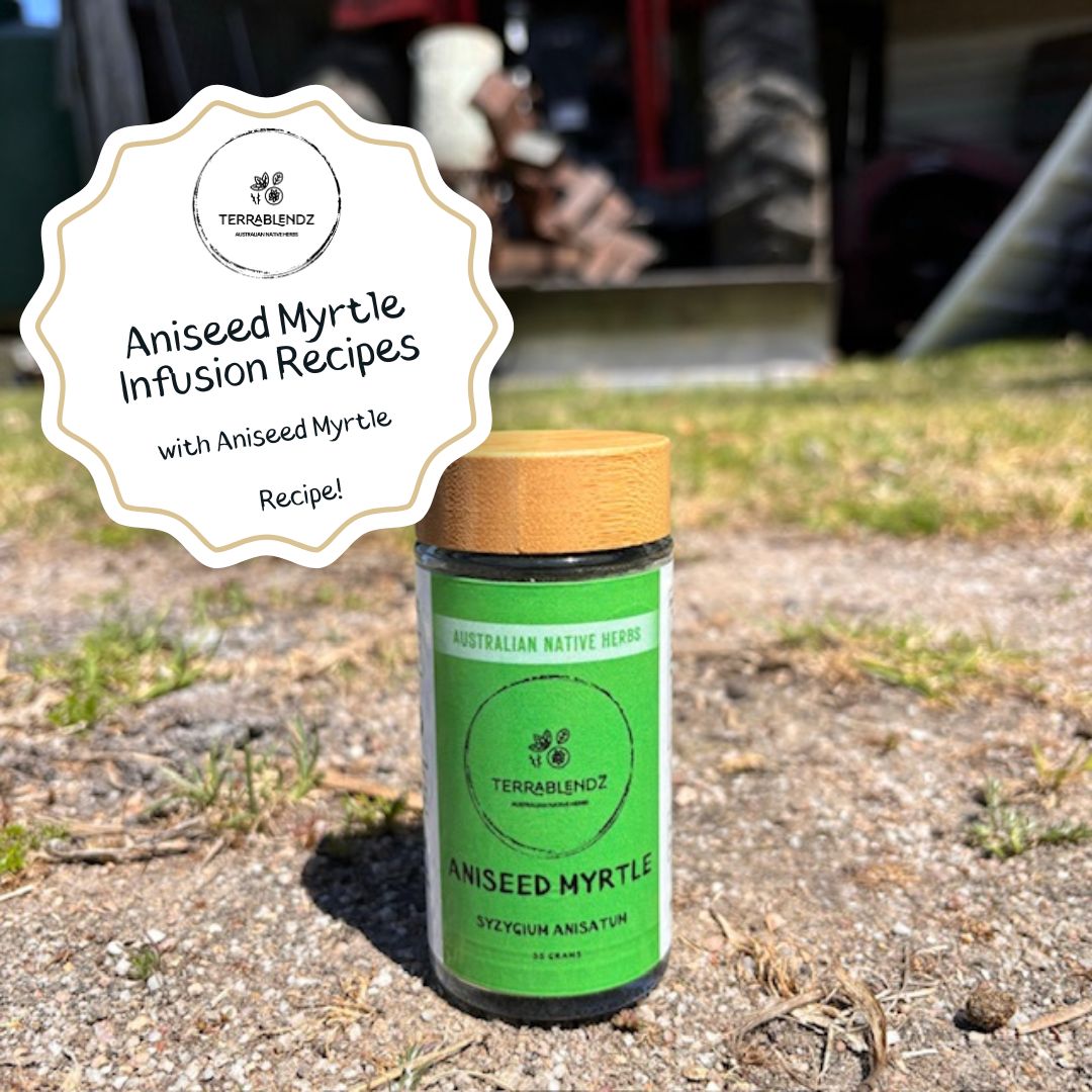 Aniseed Myrtle Infusion Recipes
