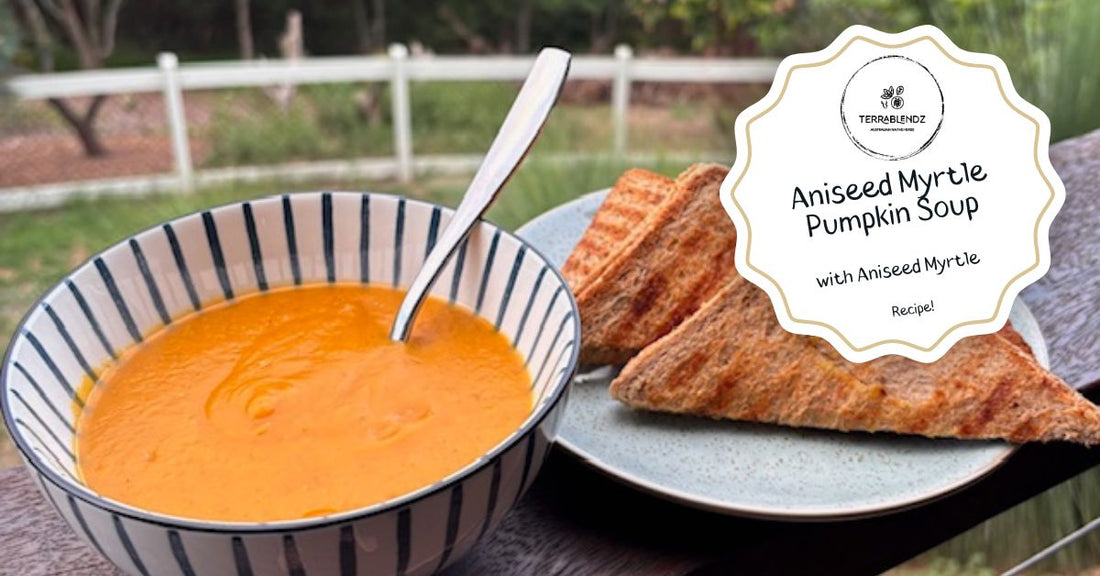 Terrablendz Aniseed Myrtle Pumpkin Soup