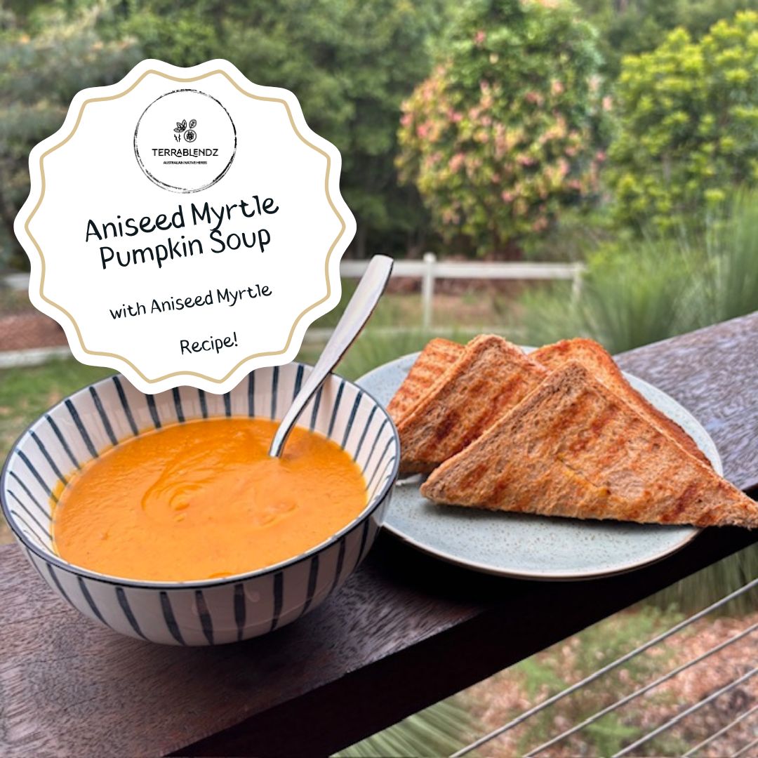 Terrablendz Aniseed Myrtle Pumpkin Soup