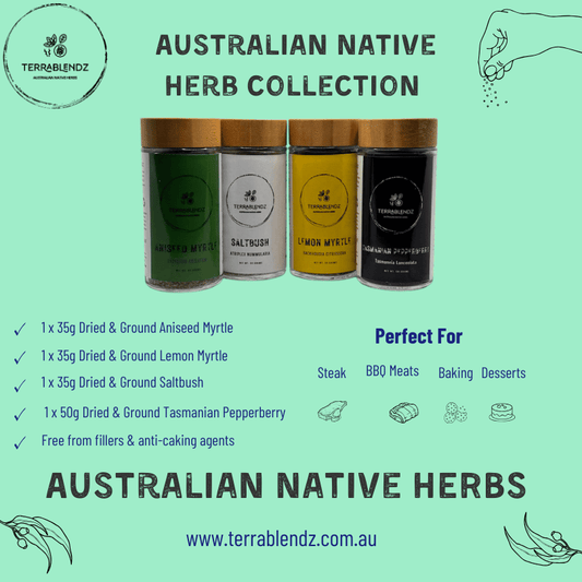 Terrablendz Australian Native Herb Collection Informational Flyer