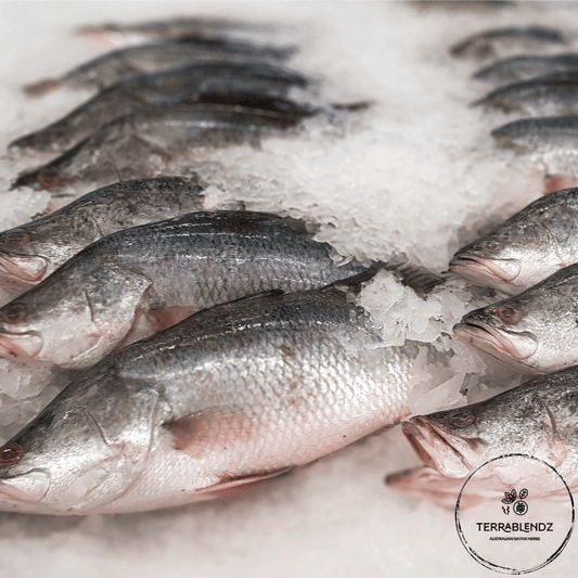 Best Seafood Seasoning OptionsBarramundi on Ice