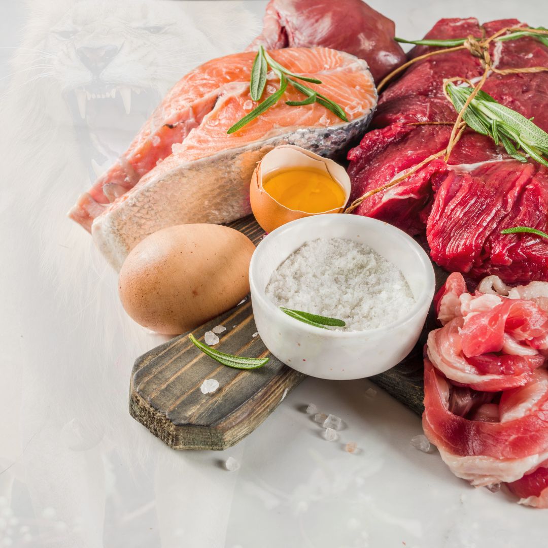 Terrablendz Carnivore Diet Seasonings.