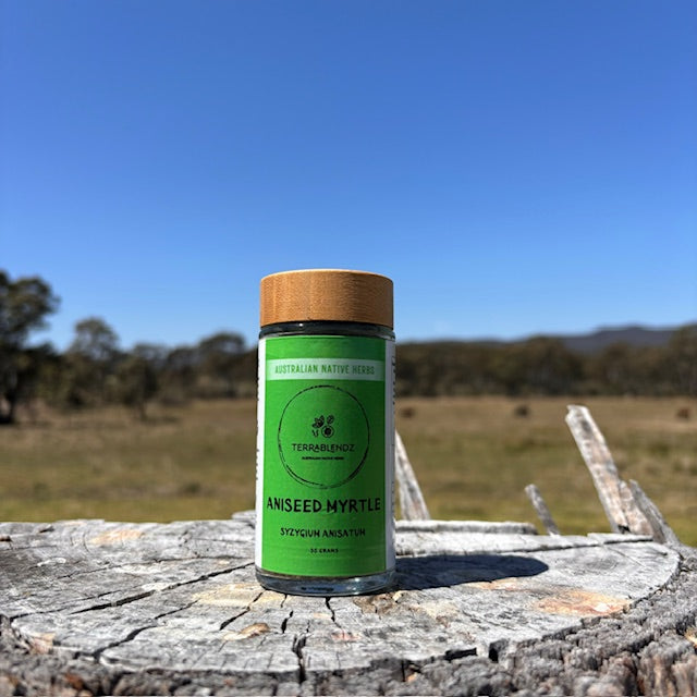 Dried Aniseed Myrtle (Syzygium Anisatum)