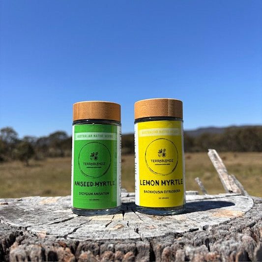 Terrablendz Myrtle Duo on tree stump.