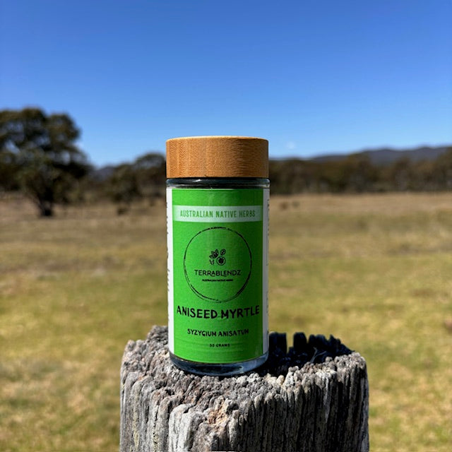 Dried Aniseed Myrtle (Syzygium Anisatum)