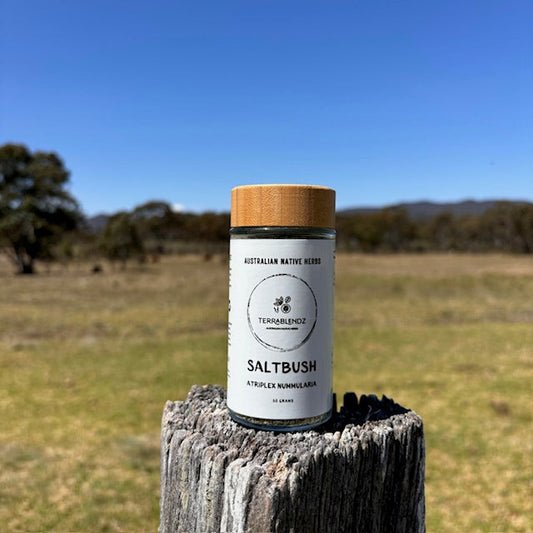 Terrablendz Dried Saltbush (Atriplex Nummularia) on a fence post.