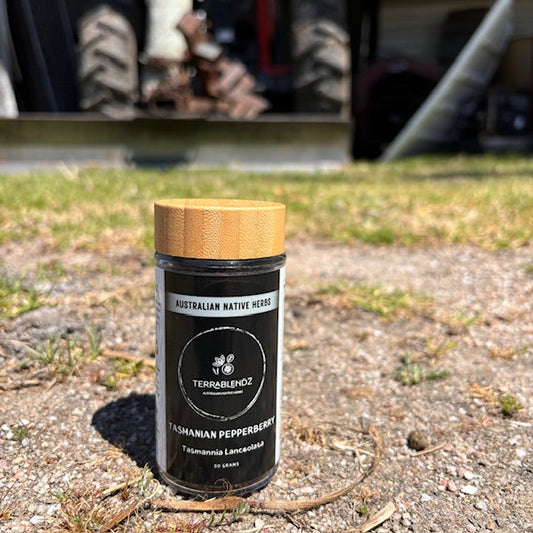 Dried Tasmanian Pepperberry (Tasmannia Lanceolata)