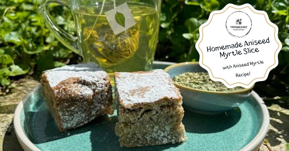 Terrablendz Homemade Aniseed Myrtle Slice