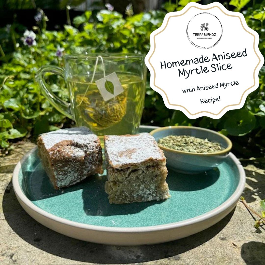 Terrablendz Homemade Aniseed Myrtle Slice