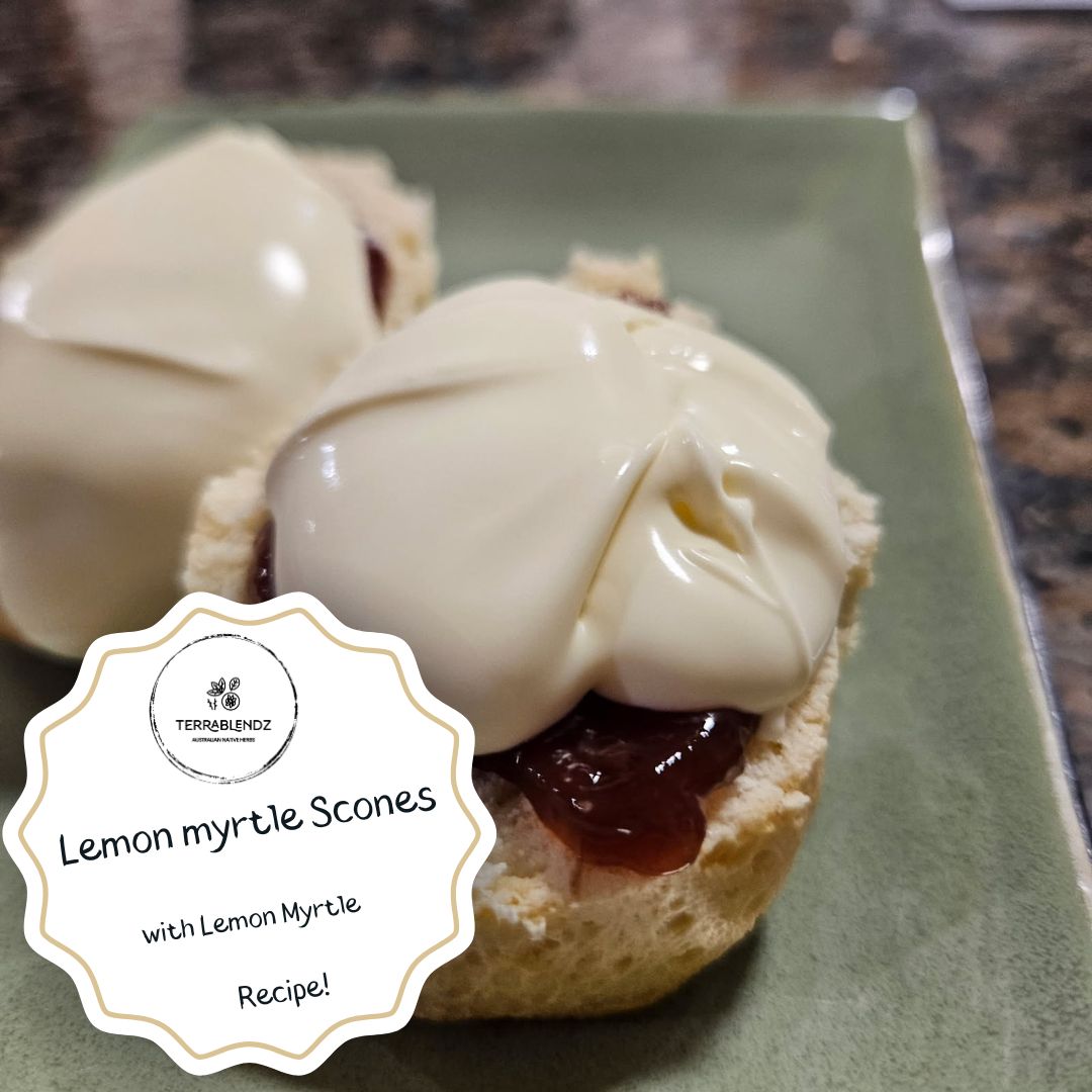 Lemon Myrtle Scones