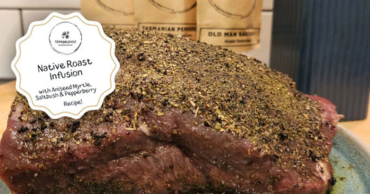 Terrablendz Native Roast Infusion banner — Australian native saltbush, aniseed myrtle and pepperberry BBQ seasoning