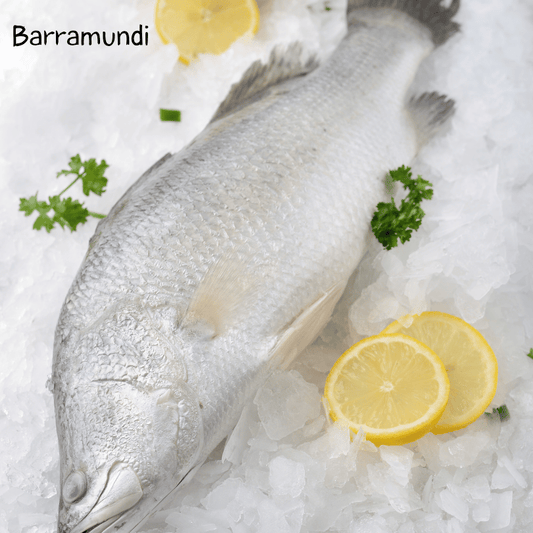 Native Seafood Rub - Barramundi on ice