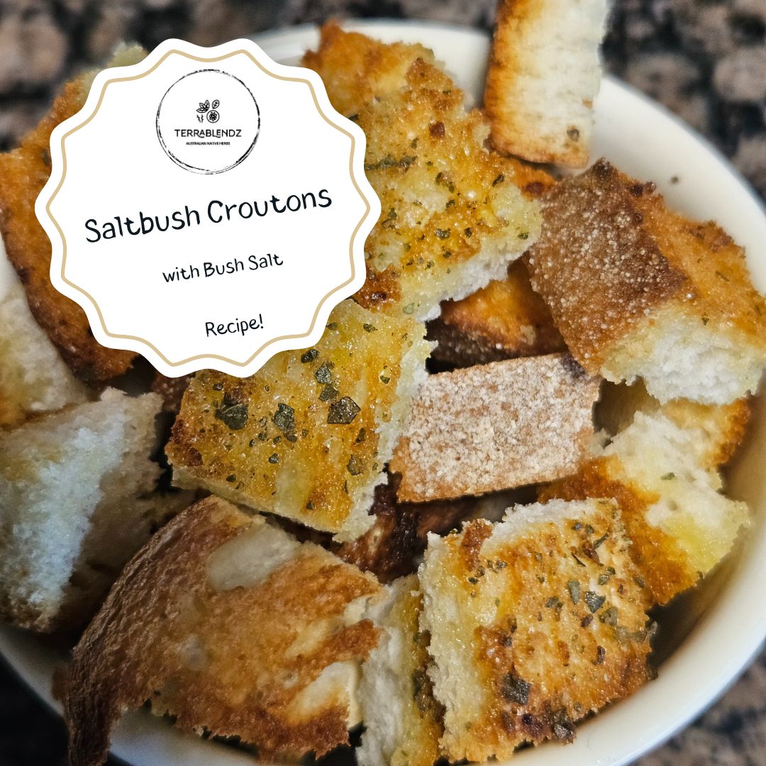 Saltbush Croutons made with Terrablendz Bush Salt