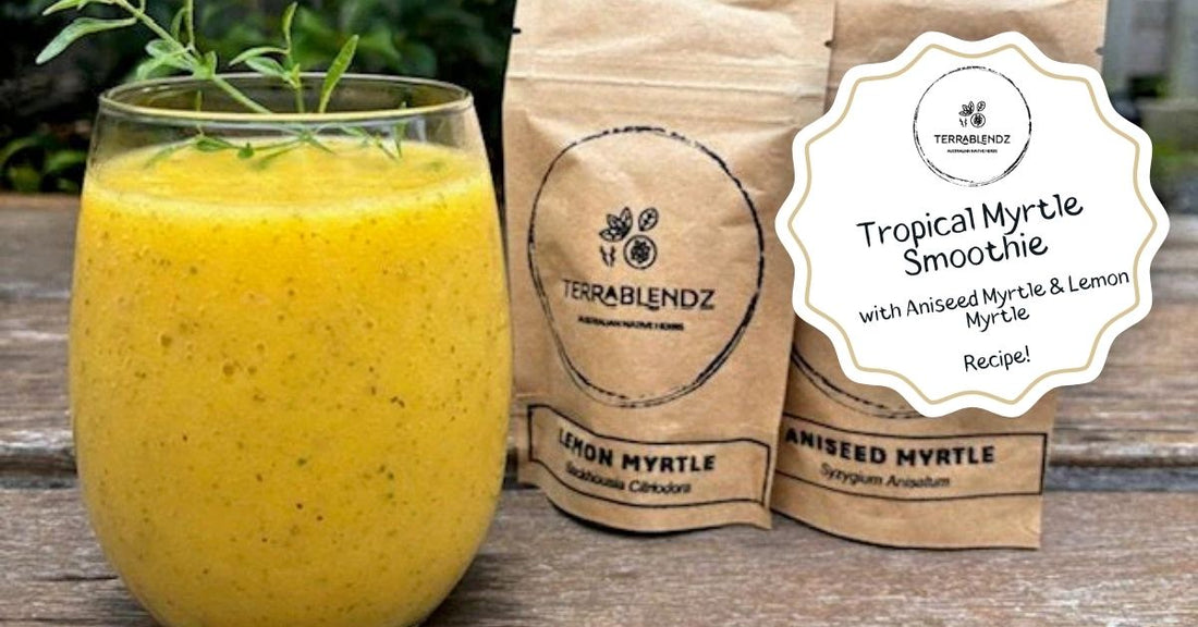 Tropical Myrtle Smoothie with Lemon Myrtle and Aniseed Myrtle — Australian native herb recipe by Terrablendz