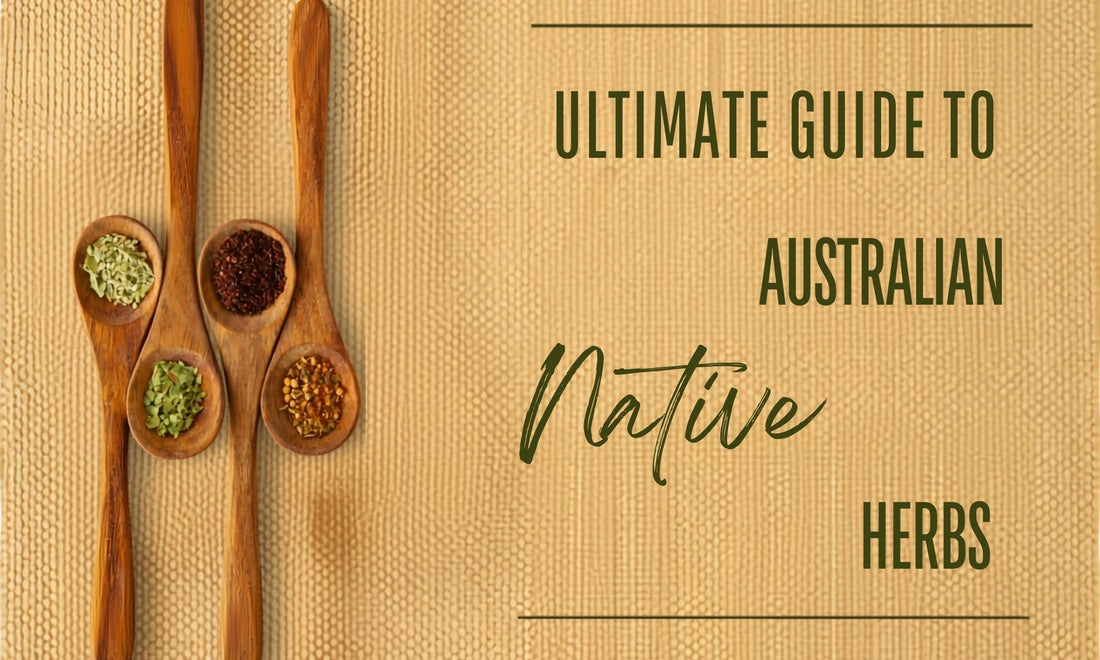 Ultimate Guide to Australian Native Herbs — premium dried native herbs for cooking, BBQ rubs and seasoning