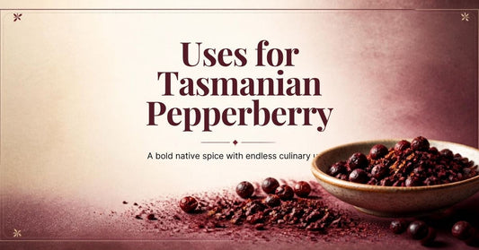 Uses for Tasmanian Pepperberry — dried Tasmannia lanceolata berries for BBQ rubs and Australian native seasonings