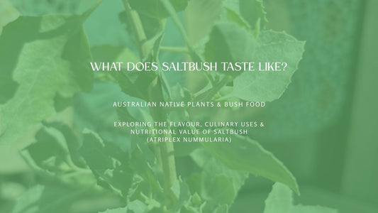 What Does Saltbush Taste Like — dried Old Man Saltbush herb by Terrablendz Australia