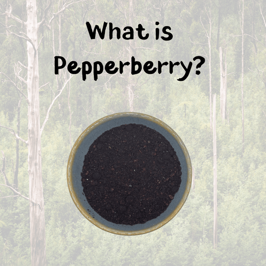 Bowl of Tasmanian Pepperberry over a forest background, with the words What is Pepperberry?