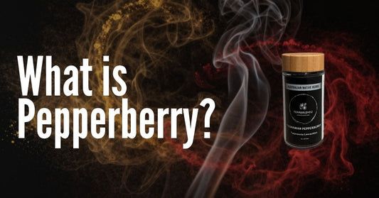 What is Pepperberry — Tasmanian Pepperberry native Australian spice for BBQ rubs and seasonings | Terrablendz